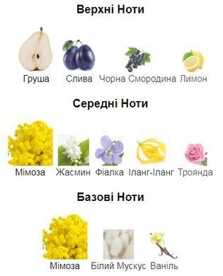 Ananda M. Micallef 3мл
